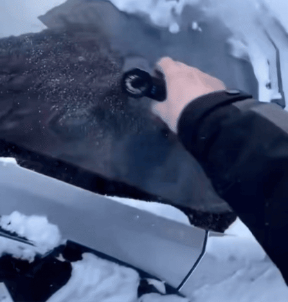 Portable Power Snow Blower with Built-In Illumination